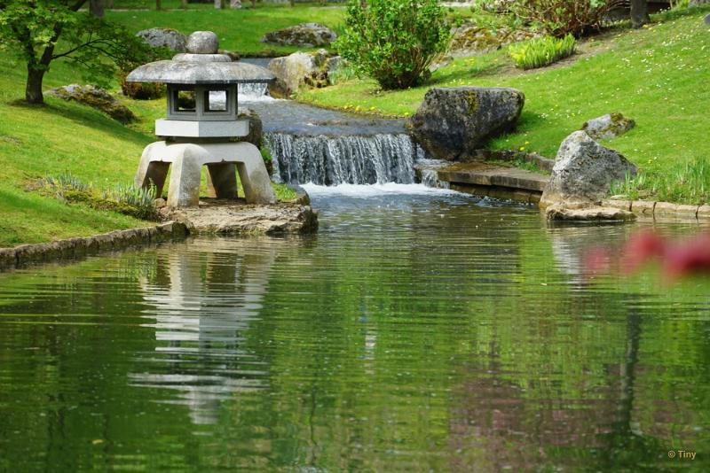 bdFoto 20.JPG - Japanse tuinen